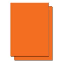 4 x 6 in Direct Thermal Label (1000 Labels per Roll)