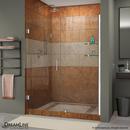 DreamLine Chrome 59 in. Frameless Hinged Shower Door with Tempered Glass 