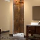 DreamLine Chrome 30-3/4 in. Frameless Pivot Shower Door with Tempered Glass 
