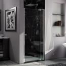 DreamLine Chrome 31 in. Frameless Pivot Shower Door with Clear Tempered Glass 