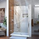 DreamLine Chrome 46 in. Frameless Hinged Shower Door with Tempered Glass 