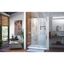 DreamLine Chrome 46 in. Frameless Hinged Shower Door with Tempered Glass 