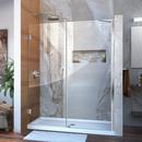 DreamLine Chrome 58 in. Frameless Hinged Shower Door with Tempered Glass 