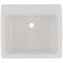 25 x 22 in. Dual Mount Laundry Sink in White