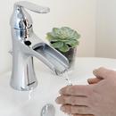 Speakman Polished Chrome 1.2 gpm 1 Hole Deck Mount Institutional Sink Faucet with Single Lever Handle 