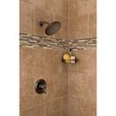 Moen Oil Rubbed Bronze Single Handle Single Function Shower Faucet (Trim Only) 