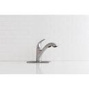 Moen Chrome Single Handle Pull Out Kitchen Faucet 