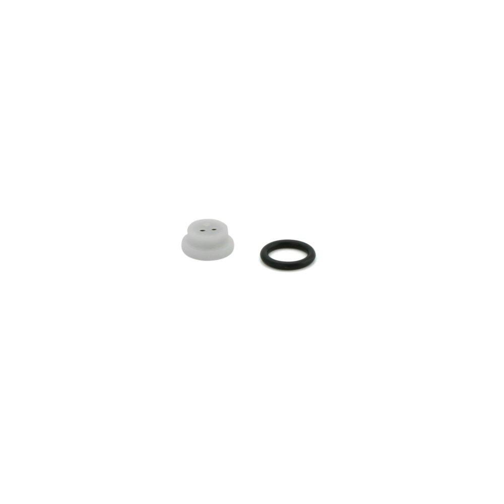Moen Check Valve Kit 