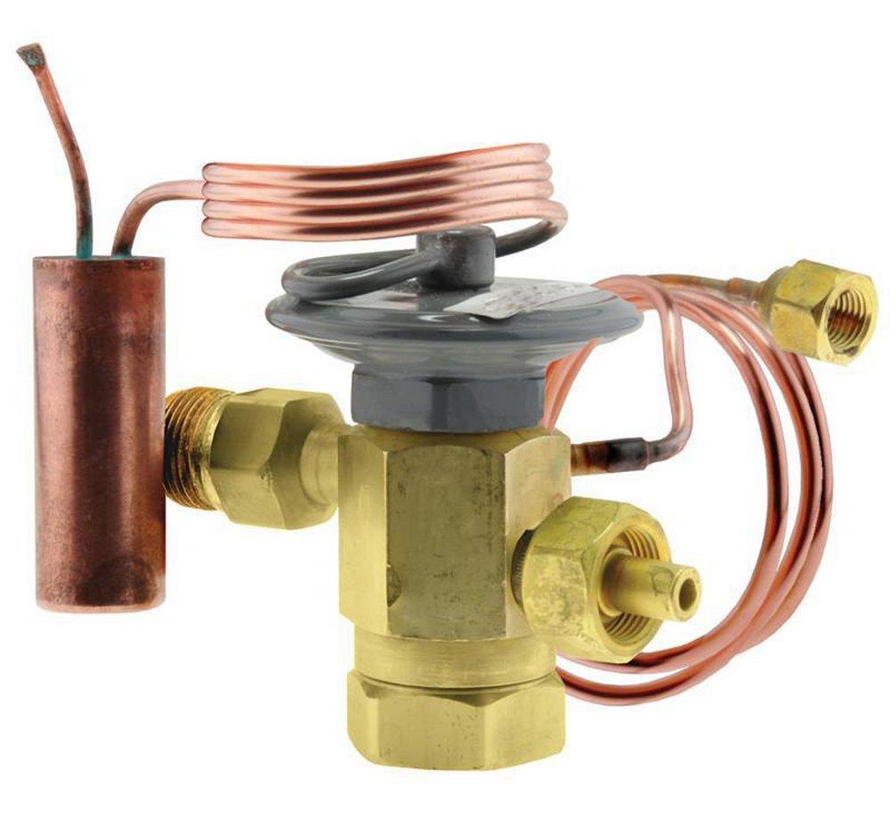 Rheem Thermal Expansion Valve 