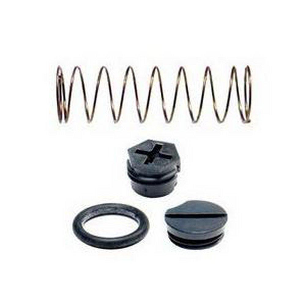 Rheem Spring Kit 