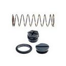 Rheem Spring Kit 