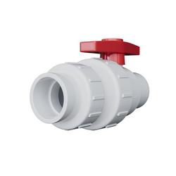 2 in. PVC Check Valve