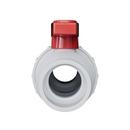 PROFLO&reg; Plastic Full Port Socket Weld 125# Ball Valve 