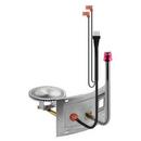 Rheem 22 in. Burner Door Assembly 