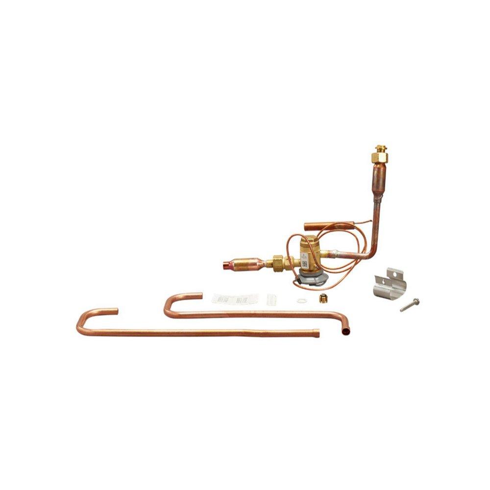Rheem Thermal Expansion Valve Kit 