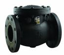 3 in. Epoxy Coated Cast Iron Flanged Check Valve