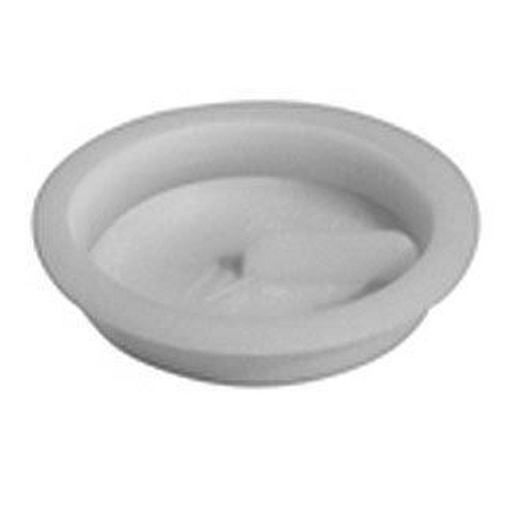 LSP Products Group White DWV and High Impact Plastic Inset Plug On Cap 