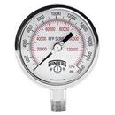 2-1/2 in. 3000 psi Stainless Steel Liquid Filled Gauge