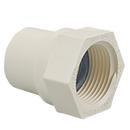 White Slip x FIPT CPVC Adapter 