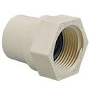 White CTS CPVC Female Adapter 
