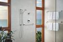 Brizo Chrome 30 in. Towel Bar 