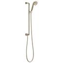 Brizo Polished Nickel Multi Function Hand Shower 