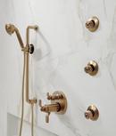Brizo Luxe Gold Single Function Body Spray 