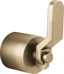 Brizo Luxe Gold Free Standing Tub Filler Metal Single Handle 