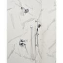 Delta Faucet Chrome Two Handle Pressure Balancing Valve Trim 