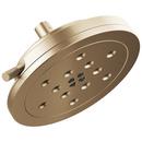 Multi Function Showerhead in Luxe Gold