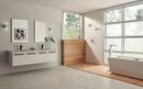 Delta Faucet Chrome Two Handle Multi Function Shower Faucet (Trim Only) 