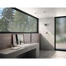 Delta Faucet Chrome Two Handle Multi Function Shower Faucet (Trim Only) 