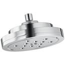 Multi Function Showerhead in Chrome