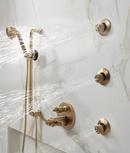 Brizo Luxe Gold Multi Function Hand Shower 