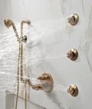 Brizo Luxe Gold Multi Function Hand Shower 
