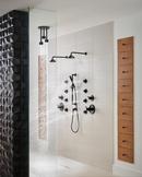 Brizo Matte Black 1.75 gpm 1-Function Ceiling Mount Pendant Showerhead 