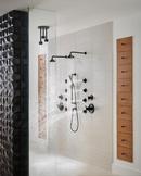 Brizo Matte Black 1.75 gpm 1-Function Ceiling Mount Pendant Showerhead 