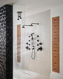Brizo Matte Black 1.75 gpm 1-Function Ceiling Mount Pendant Showerhead 