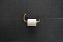 Brizo Luxe Gold Wall Mount Toilet Tissue Holder 