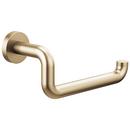 Wall Mount Toilet Tissue Holder in Luxe Gold