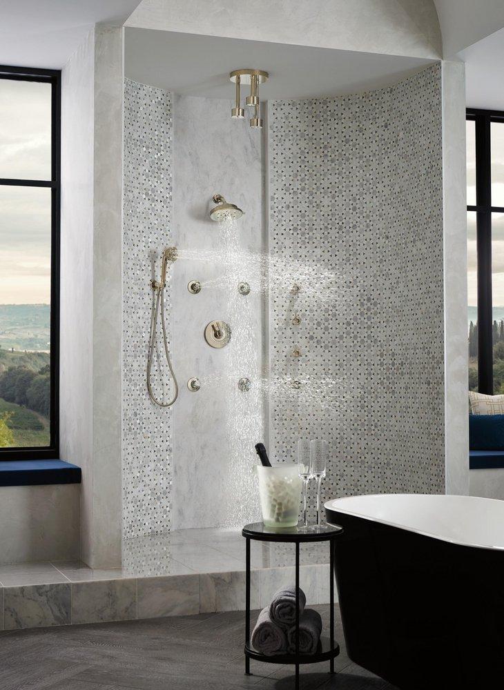 Brizo Polished Nickel Multi Function Hand Shower 