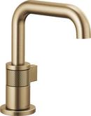 Brizo Luxe Gold Single Handle Monoblock Bathroom Sink Faucet 