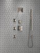 Delta Faucet Brilliance Stainless Two Handle Multi Function Shower Faucet (Trim Only) 