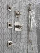 Delta Faucet Brilliance Stainless Two Handle Multi Function Shower Faucet (Trim Only) 