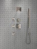 Delta Faucet Brilliance Stainless Two Handle Multi Function Shower Faucet (Trim Only) 