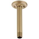 6 in. Ceiling Mount Shower Arm and Flange in Luxe Gold