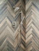 Delta Faucet Brilliance&reg; Stainless Multi Function Hand Shower 