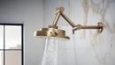 Brizo Luxe Gold Jointed Shower Arm and Flange 