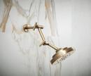 Brizo Luxe Gold Jointed Shower Arm and Flange 