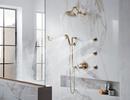 Brizo Luxe Gold Jointed Shower Arm and Flange 